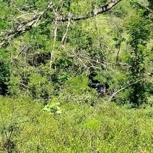 Meet your Posher, Tania